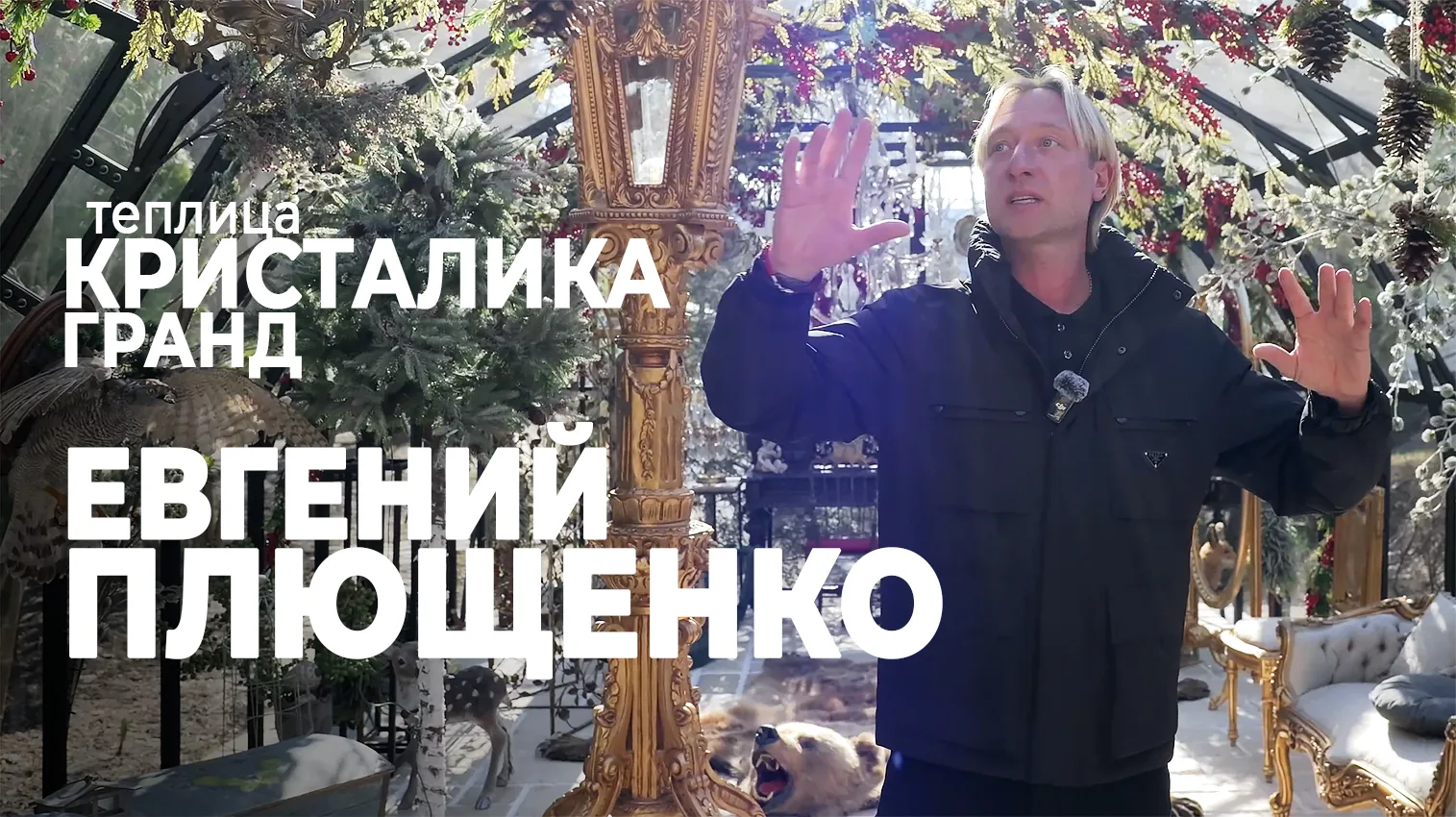 Видео